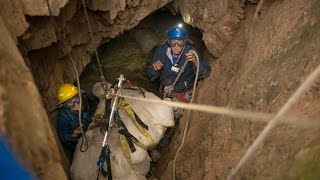 UC Davis Veterinarians Rescue Cow from Mine Shaft