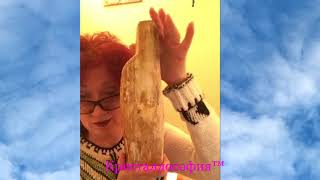 Коды эволюции