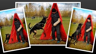 Босерон Х'Ардигранд Кадо, защитный тренинг с Zbyšek Gorecki, октябрь 2016