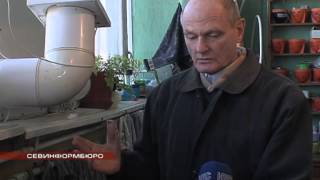 Пример работы. Новостной сюжет "ТЕПЛАЯ ФОРТОЧКА"