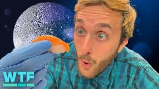 We look into some lab-grown sushi!