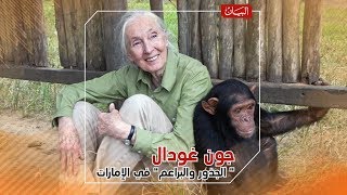 "الجذور والبراعم" في الإمارات