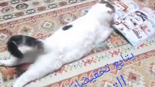 #ضحك #اضحك #ابتسم #واتسابيات_WhastAppiat