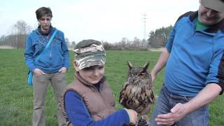 Tomáš a Výr velký