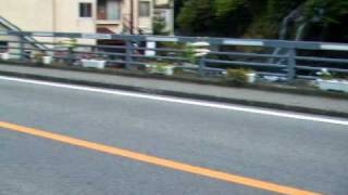 塩原温泉　塩原高原大根蓬莱橋