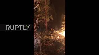 USA: Dixie Fire becomes largest wildfire of 2021 in California