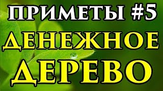 Можно ли покупать, продавать, дарить Денежное дерево ? - Маг Fose