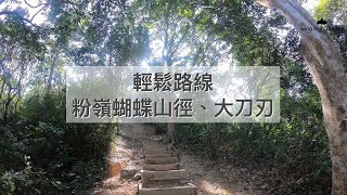 【行山唔使同人逼】發掘社區中的山徑：粉嶺蝴蝶山徑