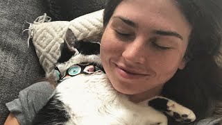 This woman was always a dog person. Then she brings home a blind cat.