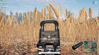 Bush Wacking confusion