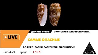 Детский эфир "Самые опасные" рубрики "Экология беспозвоночных" с Вадимом Марьинским