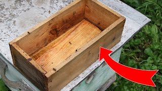 ПЛЮСЫ БОЛЬШОЙ КОРМУШКИ ДЛЯ ПОДКОРМКИ ПЧЕЛ В ЗИМУ!