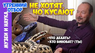 Что делать и чего не делать, если укусила гадюка? И еще немного о змеях и ядах. Игорь Фадеев.