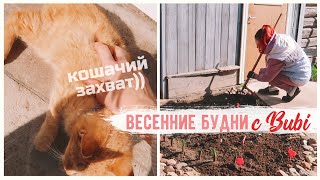 ЭТО ЗАНЯТИЕ НАЧИНАЕТ ПРИОБРЕТАТЬ УГРОЖАЮЩИЕ МАСШТАБЫ