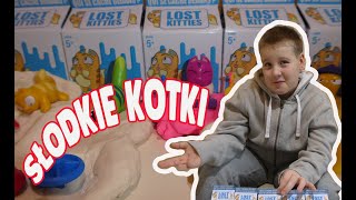 Jakie kotki znalazłem ? ŚMIESZNE KOTY Lost Kitties  | ROBSON TEST