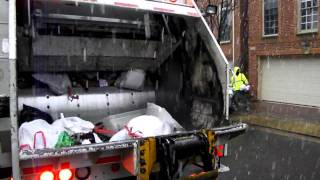 American Disposal Snow collection
