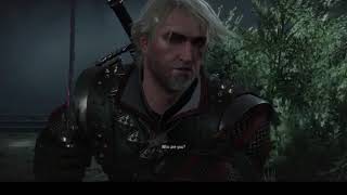 The Witcher 3 Gameplay PC