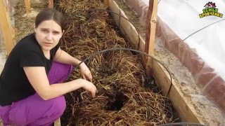 Семья Бровченко. Огород. Посадки в теплице (ч.2) - горошек, огурцы, редиска. (04.16г.)