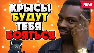 КРЫСЫ БУДУТ ТЕБЯ БОЯТЬСЯ ЕСЛИ ТЫ ПОСМОТРИШЬ ЭТОТ ГАЙД  Бравл Старс / BRAWL STARS