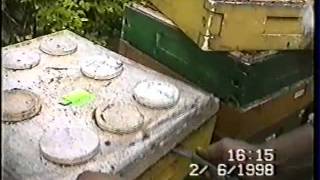Пчеловодство-2 (Польша) на рамку 145
