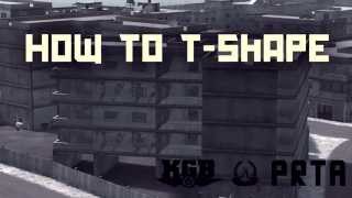 Project Reality - HOW TO T-SHAPE