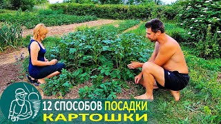 Посадка картофеля 12 способами ???? Эксперименты и технологии Гордеевых