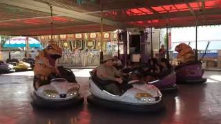 T-REX RIDES BUMPER CARS!