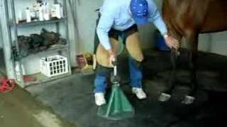 HOOF-it Hoof Stand