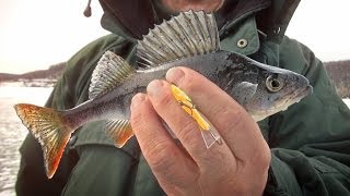 [Школа рыболова] - Ловля окуня на Жигулевском море