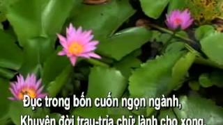 Phật giáo Hòa Hảo - Dặn Dò Bổn Đạo karaoke do đồng đạo Thanh Tân thực hiện