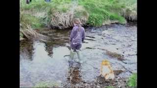 Crossing The Stream in Ballyduff
