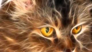 Deee-Lite - Meow