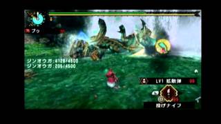モンハン3ｒｄボウガン連射チート魔人ブーVSジンオウガｘ2