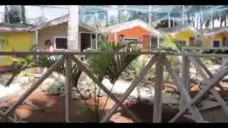 Palolem Sea Shades Resort