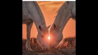 ВЫЗОВ МУЖЧИНЫ  от Natali Tarot | Invocation man by Natali Tarot