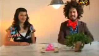 motel diablito---lecciones con el arbol.(cena)