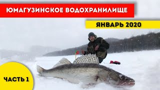 Зимняя рыбалка на судака и леща Часть 1. Юмагузинское водохранилище 13 января 2020 года.