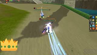 Silkroad Online-Feronia 25.05.2019 Hotan FW EliteChackie Mix!