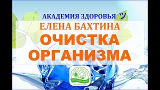 Бахтина Елена. Система очищения организма