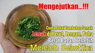 ASTAGFIRULLAH.... TERNYATA TANAMAN SEMAK INI BISA HANCURKAN LEMAK DALAM SEKEJAB