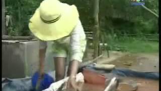 Quang Nam  Xâm nhập vùng khai thác vàng Bồng Miêu 6 1 2011