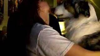 Oh my dog
