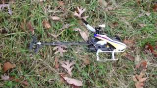 Align T-REX 450 Pro Idiotic Crash