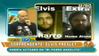 Salfate Misteriosas Muertes De Famosos
