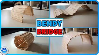 DIY Hamster Toys | DIY Lollipop/Popsicle Stick Bendy Bridge