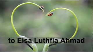 to elsa eps 1