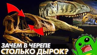 ????Почему ЧЕРЕП ДИНОЗАВРА похож на решето???