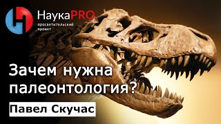 Зачем нужна палеонтология? - Павел Скучас