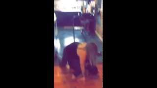 Fat Girl almost breaks kid's back!
