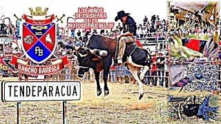 CON ESPUELA LIBRE RANCHO BARRIGA EN TENDEPARACUA